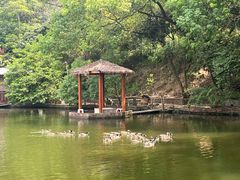 -水库河鲜村