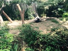 熊猫园-河川生态园