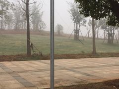 -九龙湖公园