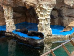 -华夏文旅海洋公园