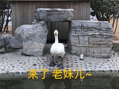 -厝内小眷村(西单大悦城店)