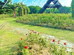 -上海滨江森林公园