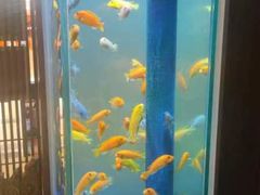 -半勺·新徽菜(银泰城店)