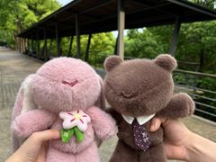 -西湖风景区-江洋畈生态公园