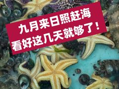 -巧克力渔家.小船海鲜胶东菜(万平口店)