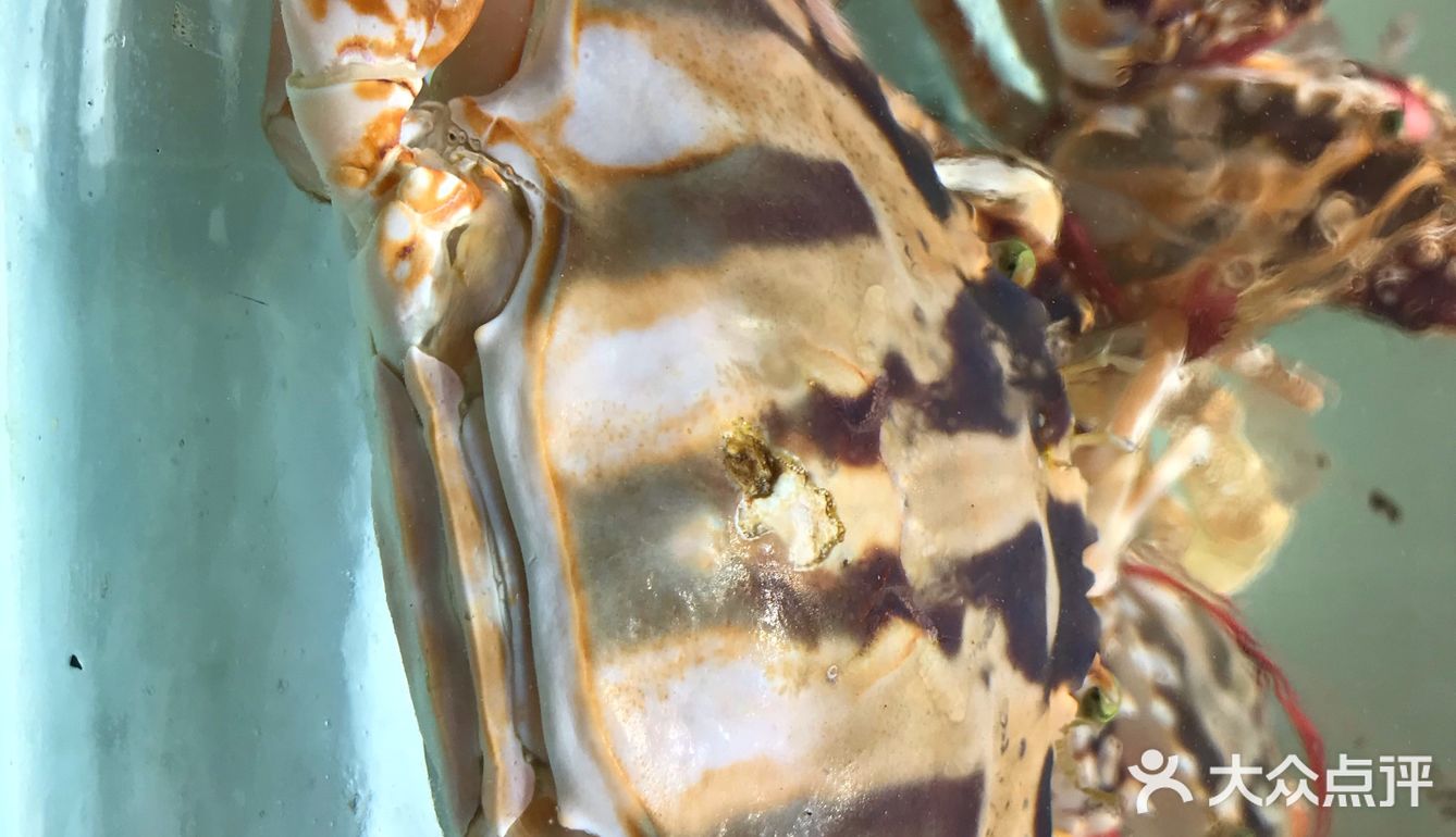 海鲜大世界，各种各样的新鲜海鲜有大闸蟹、象拔蚌、