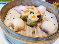 -皇朝尊会(龙之梦大酒店)