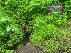 -峡谷浮石林景区