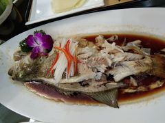 -红高粱大酒店(宁山东路店)