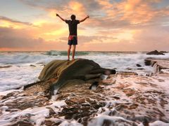 -好利来(桂林路店)