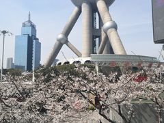 -东方明珠广播电视塔