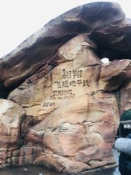 -翱翔飞越地平线