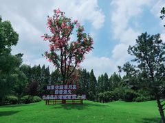 -祥源·阜阳生态乐园