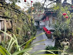 -青城甲(青城山店)