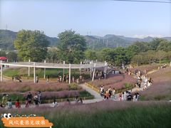 -牛岗山公园