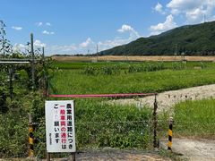 -岚山嵯峨野观光小火车
