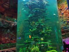 -青岛嘉年华主题乐园