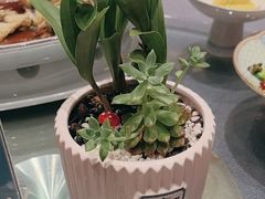 -浙江西子宾馆·牡丹厅