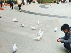 -中粮·祥云小镇