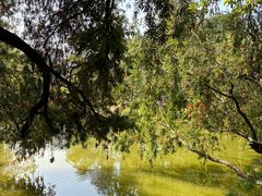 -人民公园(罗湖区)