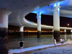 -演武大桥观景平台