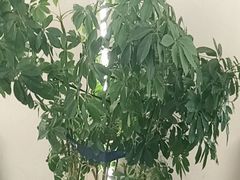 -正丰源大缸烧烤(人民路店)
