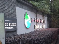 -小小饭店·休闲农庄·安吉松树林里的农家菜