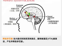 -壹点灵·心理咨询中心(中山公园店)