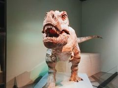 -香港科学馆