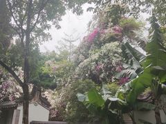 -深圳国际园林花卉博览园