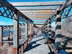 -白草畔自然风景区