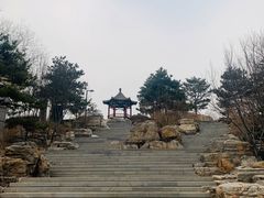 -大兴滨河森林公园