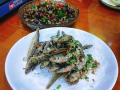 -全乐鱼馆·淳牌有机鱼直营店