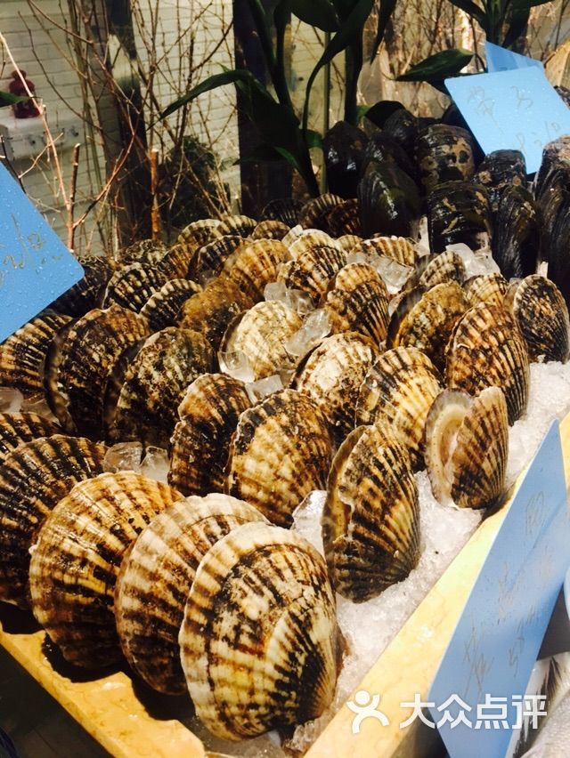 子木鱼蒸汽海鲜图片 - 第786张