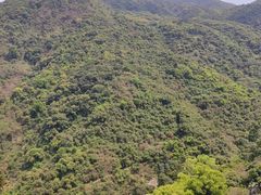 -梧桐山风景名胜区