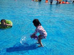 -海盗传奇水世界