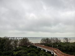 -宝安西湾红树林湿地公园