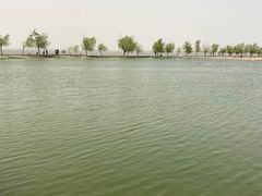 -卧龙湖