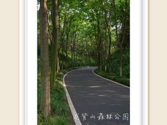 -宜兴龙背山森林公园