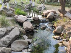 -新洲生态园