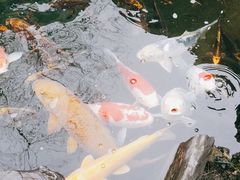 -新荣记(西溪湿地店)