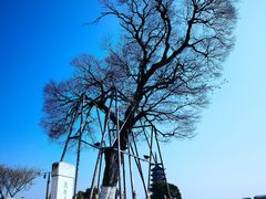 -观潮胜地公园