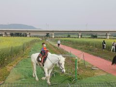 -光明小镇欢乐田园