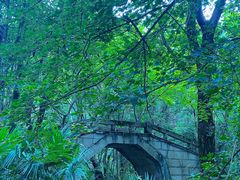 -青龙山国家森林公园