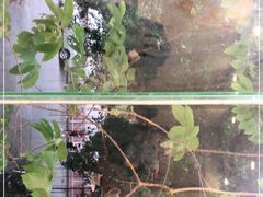 -百姓百味海鲜酒楼(粤垦路总店)