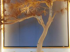 -苗品记茶馆(时代天街D馆店)