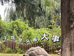 -云南野生动物园