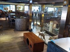 二楼世界-more than meow吴止猫主题餐厅(承德 中船汇店)