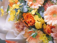 -花生FM_FLOWERS