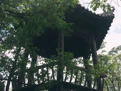 -千岛湖石林